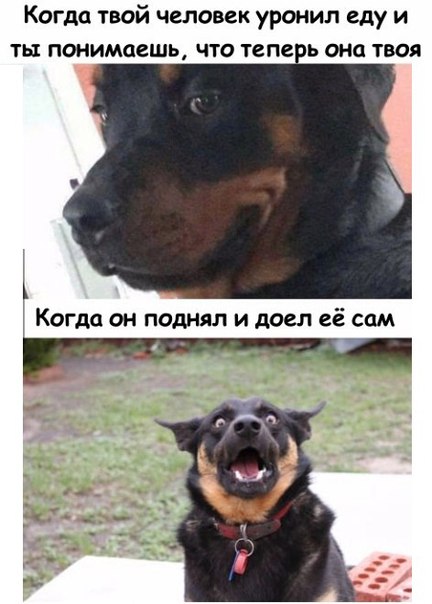 proxy.php?image=http%3A%2F%2Fs00.yaplakal.com%2Fpics%2Fpics_original%2F3%2F1%2F2%2F11443213.jpg&hash=f96cae4870ef9ba808a565bec75a8c34 | Рено Каптур клуб Россия | www.KAPTUR.club