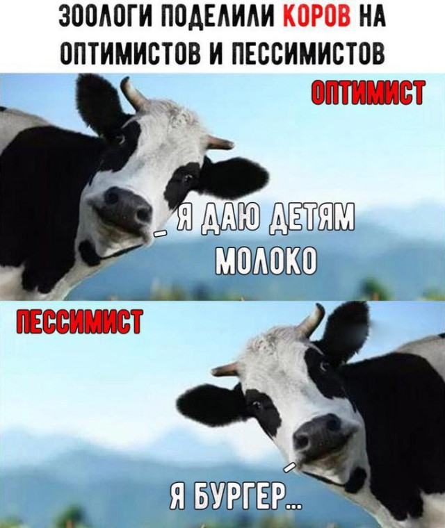 proxy.php?image=http%3A%2F%2Fs00.yaplakal.com%2Fpics%2Fpics_preview%2F1%2F4%2F0%2F12425041.jpg&hash=fbaede0ead8ef9e28e2e4ba29254a834 | Рено Каптур клуб Россия | www.KAPTUR.club