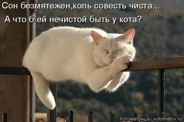 proxy.php?image=https%3A%2F%2Fs00.yaplakal.com%2Fpics%2Fpics_preview%2F8%2F7%2F8%2F14200878.jpg&hash=fbdd94974de11c29465f9f24e31e22f5 | Рено Каптур клуб Россия | www.KAPTUR.club