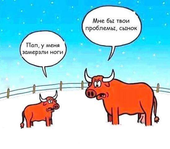 proxy.php?image=http%3A%2F%2Fs00.yaplakal.com%2Fpics%2Fpics_original%2F9%2F6%2F0%2F11443069.jpg&hash=fc79940b7a1d01b9cd2d44ef15597e69 | Рено Каптур клуб Россия | www.KAPTUR.club