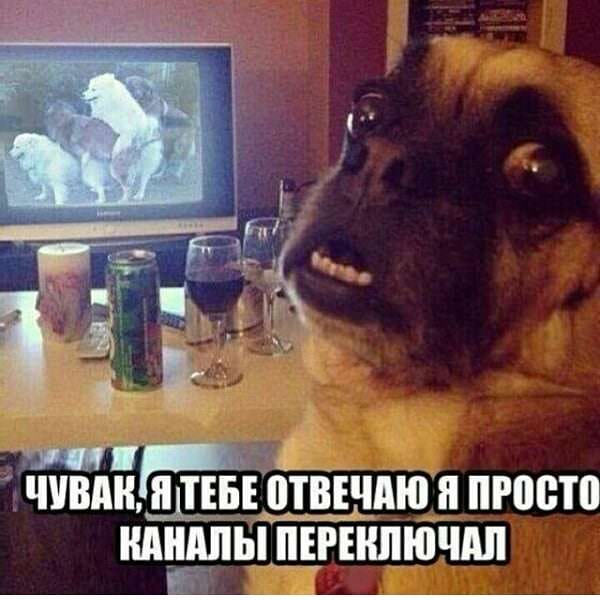 proxy.php?image=http%3A%2F%2Fs00.yaplakal.com%2Fpics%2Fpics_original%2F8%2F7%2F5%2F13464578.jpg&hash=fcf241ef1112de429709ffb0c9d6a50c | Рено Каптур клуб Россия | www.KAPTUR.club