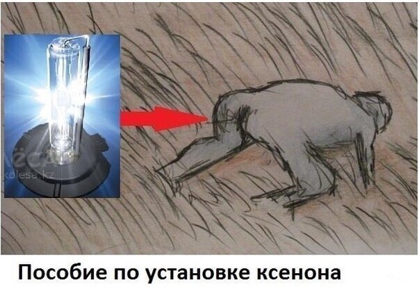 proxy.php?image=https%3A%2F%2Fpp.vk.me%2Fc621722%2Fv621722594%2F53e0%2Ft58cfmkhUfo.jpg&hash=fd6c0499c29a325c779082ae25ea7861 | Рено Каптур клуб Россия | www.KAPTUR.club